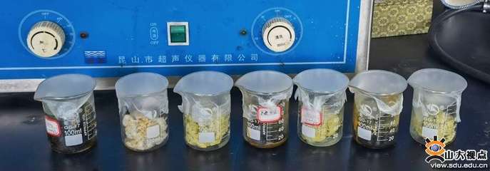 生物基材料技術(shù)研發(fā) 山大學(xué)子創(chuàng)新創(chuàng)業(yè)實(shí)踐的奮斗樂(lè)章