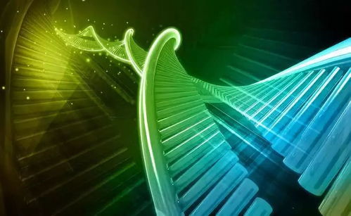 溫州生材所聯合上海交大、浙大成立研發中心，生物基材料技術助力阿爾茨海默癥治療