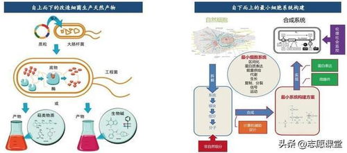 生物坑？轉行跳槽別慌 這3高薪藍海深度技術，國家隊在投入巨資（有案例拆解+真實薪酬分化落差心得故事拆解即未來職業發展變現模型…