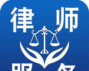 專業(yè)法律糾紛代理服務解析